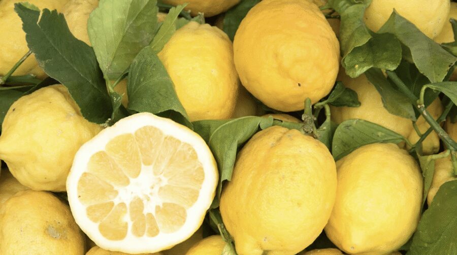 Sorrento: Walking Tour in Lemon Garden w/ Food Tasting - Key things that make this tour worth it