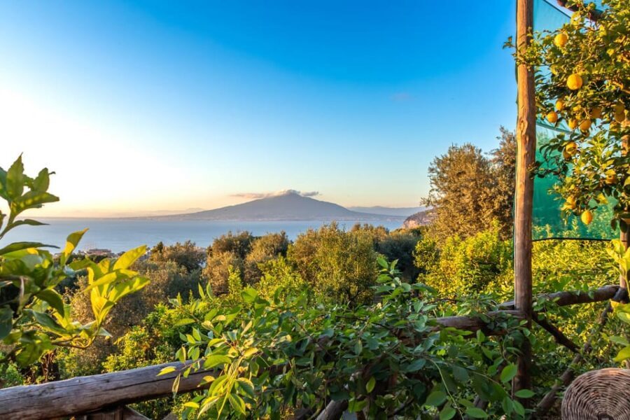 Sorrento: Wine Tasting Overlooking the Sea in a Lemon Grove - What exactly you taste: the 5-wine lineup