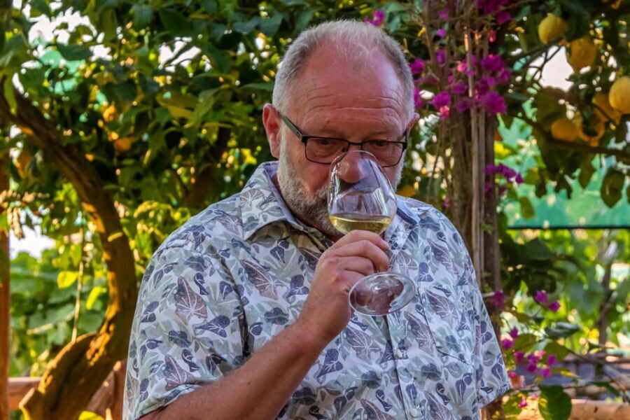 Sorrento: Wine Tasting Overlooking the Sea in a Lemon Grove - Local product pairings: how to make them click