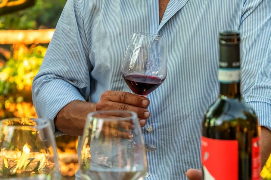 Sorrento: Wine Tasting Overlooking the Sea in a Lemon Grove - The private sommelier touch: Lulu (Louisa) and what you get
