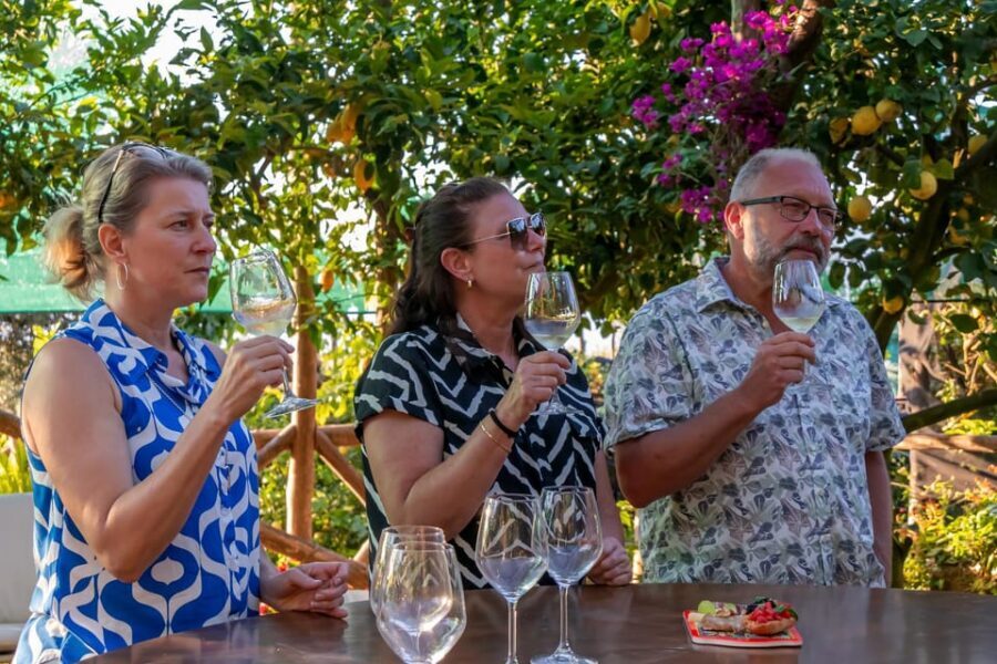 Sorrento: Wine Tasting Overlooking the Sea in a Lemon Grove - How this fits with your Sorrento day plan