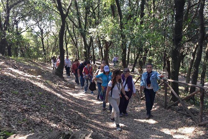 Tour in the ruins of Cuma with an archaeologist. - FAQ
