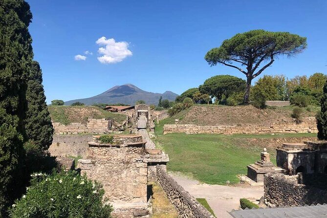 Transfer Naples airport/station to Sorrento with stop in Pompeii - Naples Airport or Train Station to Sorrento With Pompeii Included
