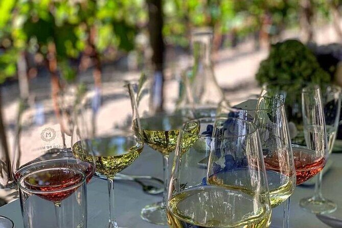 Wine Tasting Including Lunch - Wine Production Tour That Actually Helps You Taste