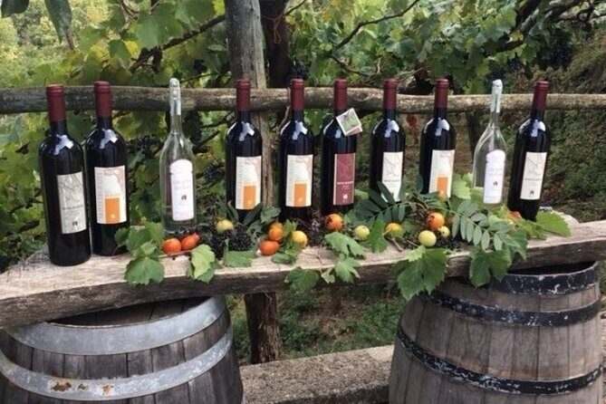 Wine Tour (lunch included) - How the 4 to 6 Hour Schedule Really Feels