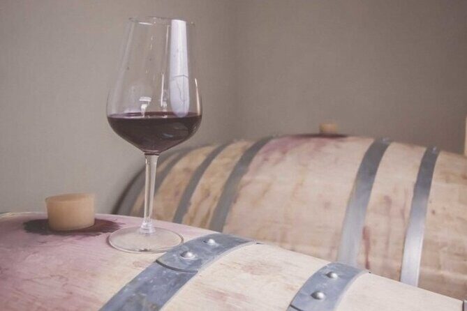 Wine Tour (lunch included) - Meet in Tramonti: 11:30 at Tenuta San Francesco
