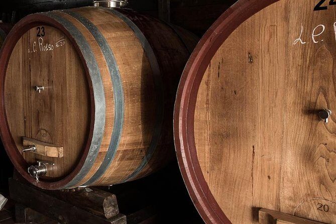 Wine Tour + Pompeii - Guides and service: what stands out in the reviews